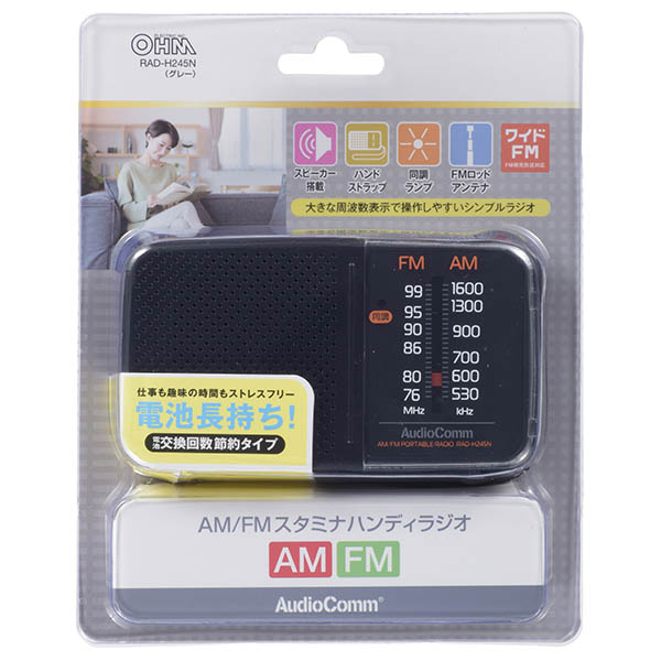 RADH245N-0011画像-2