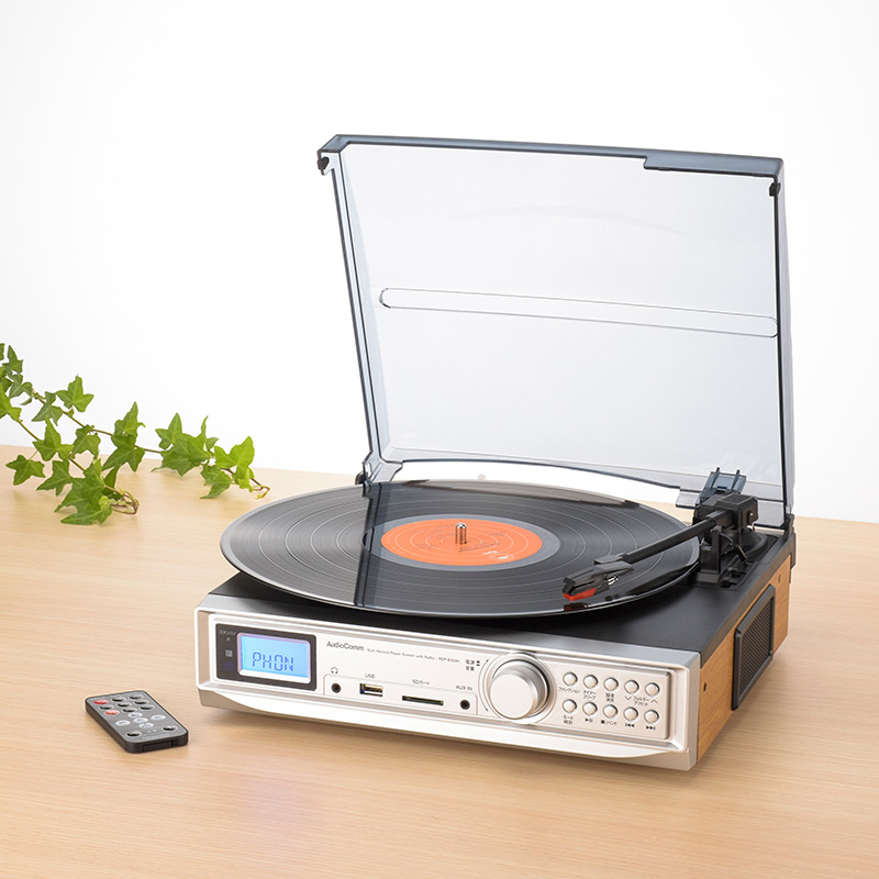 RDPB300N-0011画像-3