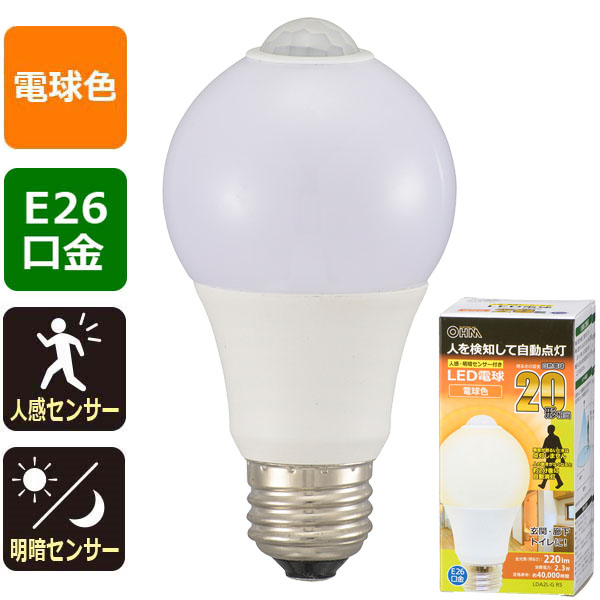 LDA2LGR5-0011画像-1