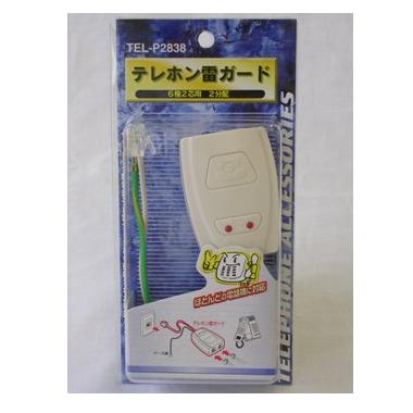 TELP2838-0011画像-1