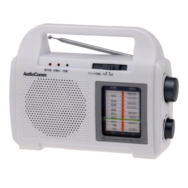 RADV1764M-0011画像-1